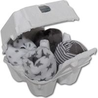 Sokken FreshWear Silver Xplorys 
